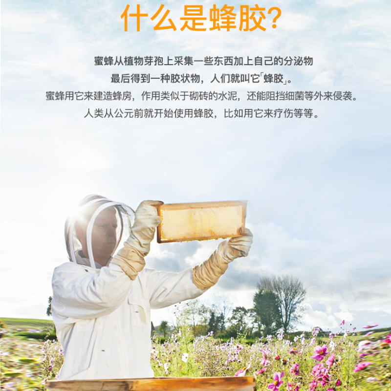 goodhealth天然蜂胶胶囊330粒正品助力免疫力全家健康非蜂王浆