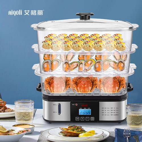 Aigoli艾格丽电蒸锅多功能大容量自动断电家用长方形透明多层蒸锅-图0