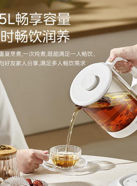 美的养生壶炖煮一体小型办公室全纯玻璃电热水壶烧水壶花茶煮水壶