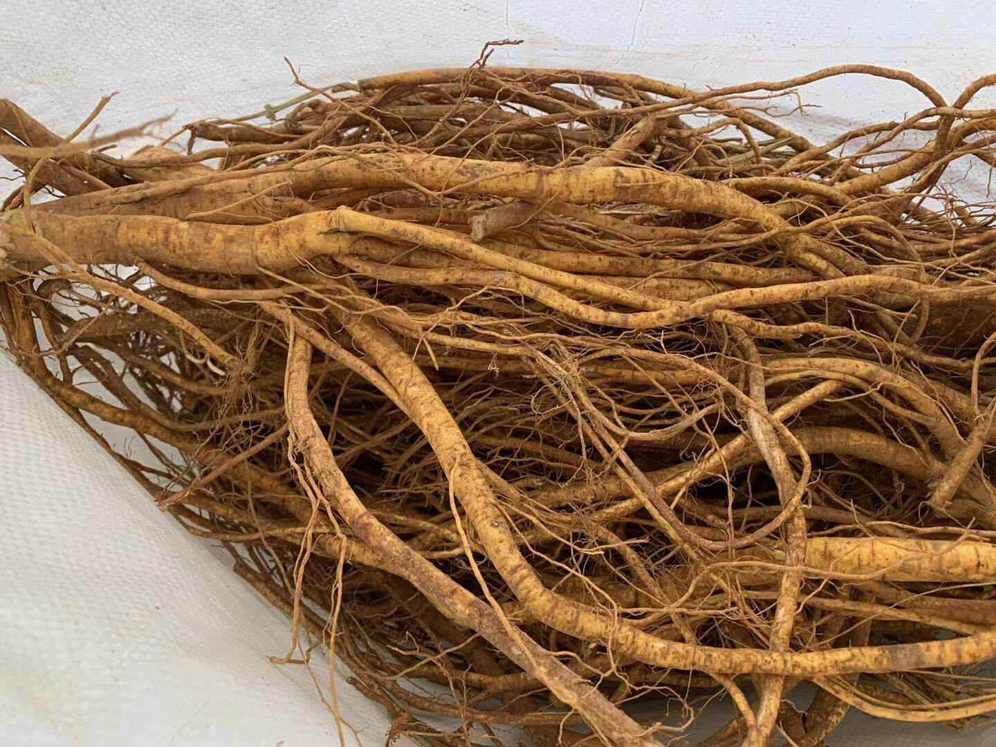 新品五指毛桃根片椰香五指牛奶五爪龙广东煲汤料正品包邮500g