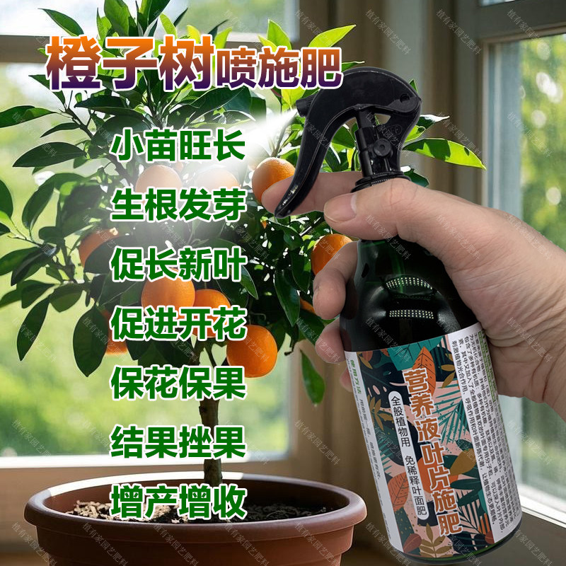 橙子树专用肥料橙子果树营养液开花保花保果结果挫果增产增收肥料,淘宝优惠券,粉丝福利购,淘宝优惠卷