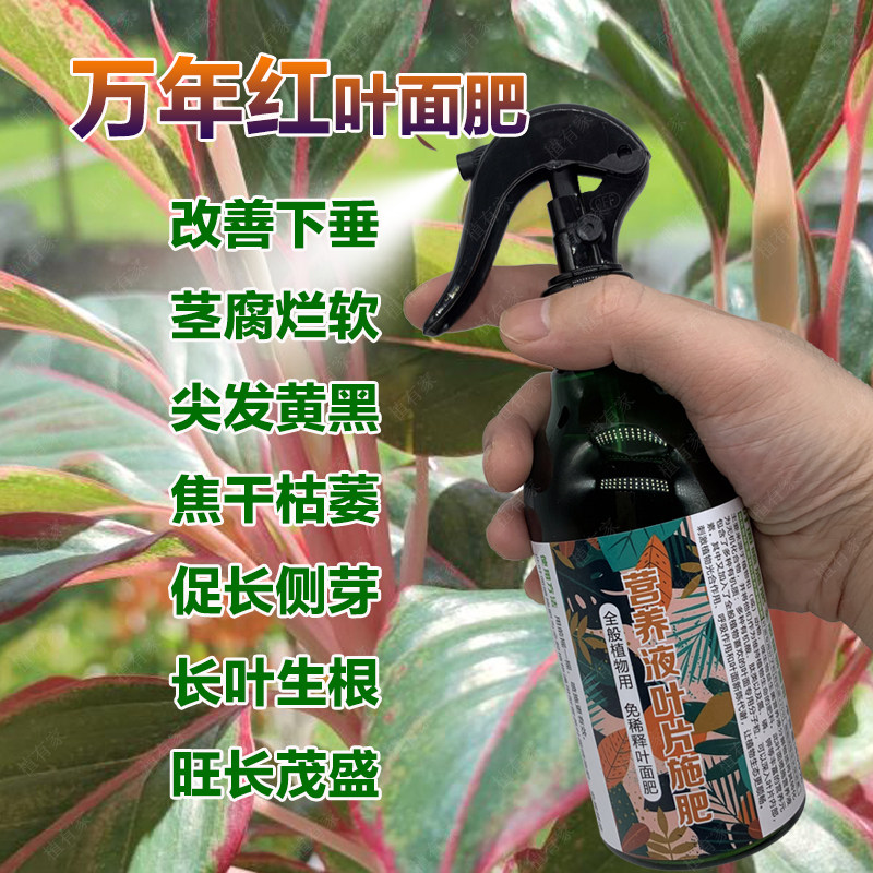 万年红专用肥料养殖专用土养护营养液吉利红花盆栽喷剂叶面肥肥料,淘宝优惠券,粉丝福利购,淘宝优惠卷