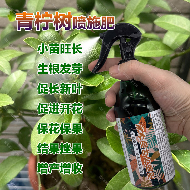 青柠树专用肥料盆栽种植果树苗营养液叶面肥有机肥土壤水溶化肥料,淘宝优惠券,粉丝福利购,淘宝优惠卷