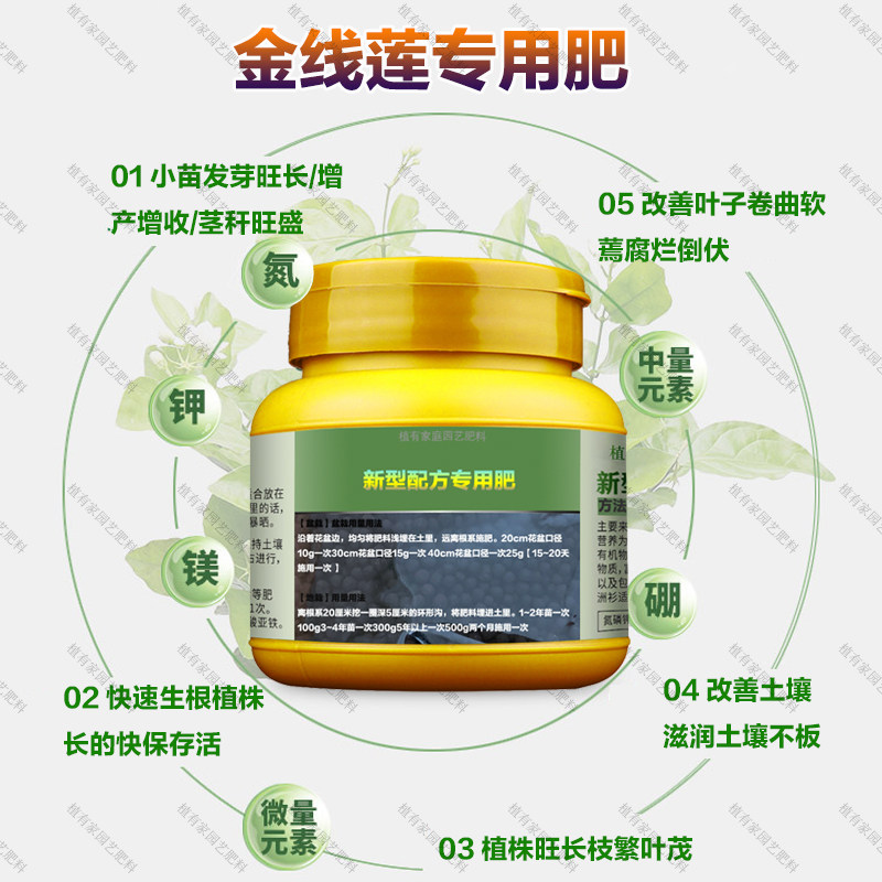 金线莲专用肥料种植苗土盆栽营养液叶子卷曲软蔫腐烂倒伏叶面肥料,淘宝优惠券,粉丝福利购,淘宝优惠卷
