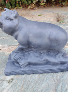 石雕猪摆件家用生肖猪青石原石