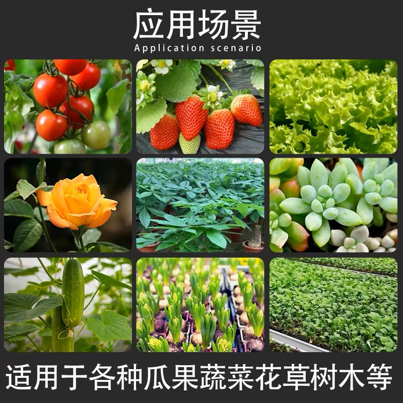 太阳能植物生长灯仿太阳光花卉绿植补光灯苔藓多肉火龙果菊花果蔬 - 图2