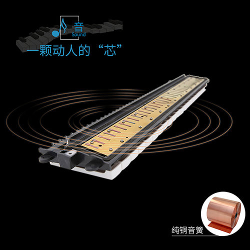 奇美DHS口风琴32键37键小学生专用成人儿童初学者入门【3套吹管】 - 图2