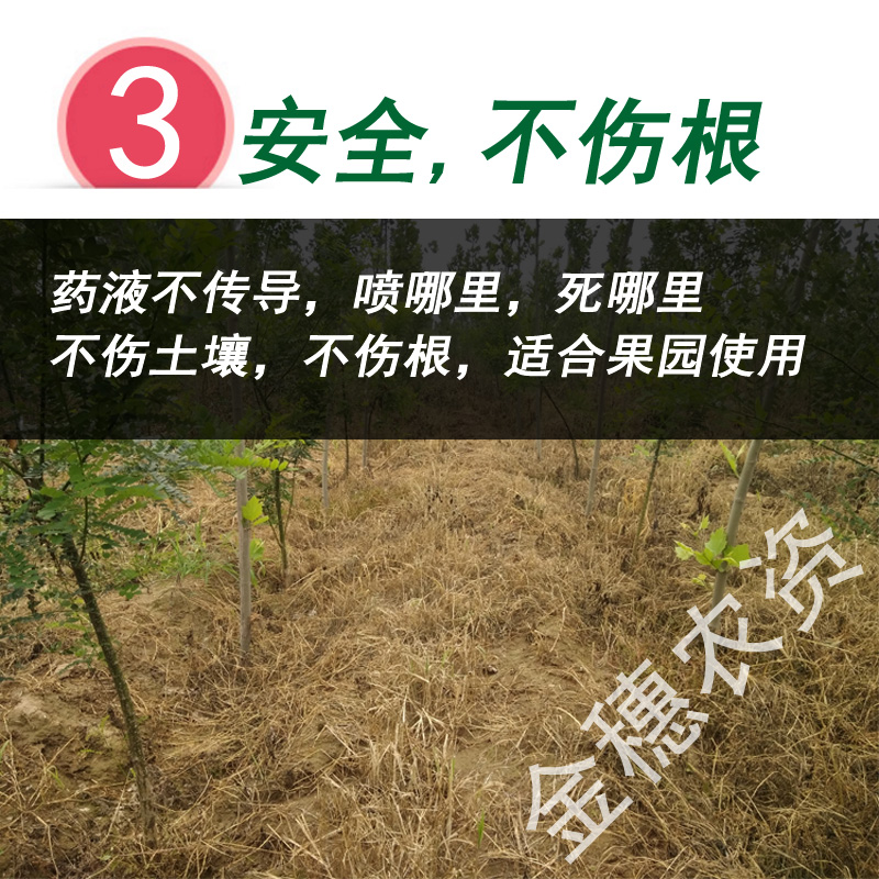 敌草快除草剂一扫光见绿杀果园林地苗圃杂草除草不伤土壤见效迅速-图2