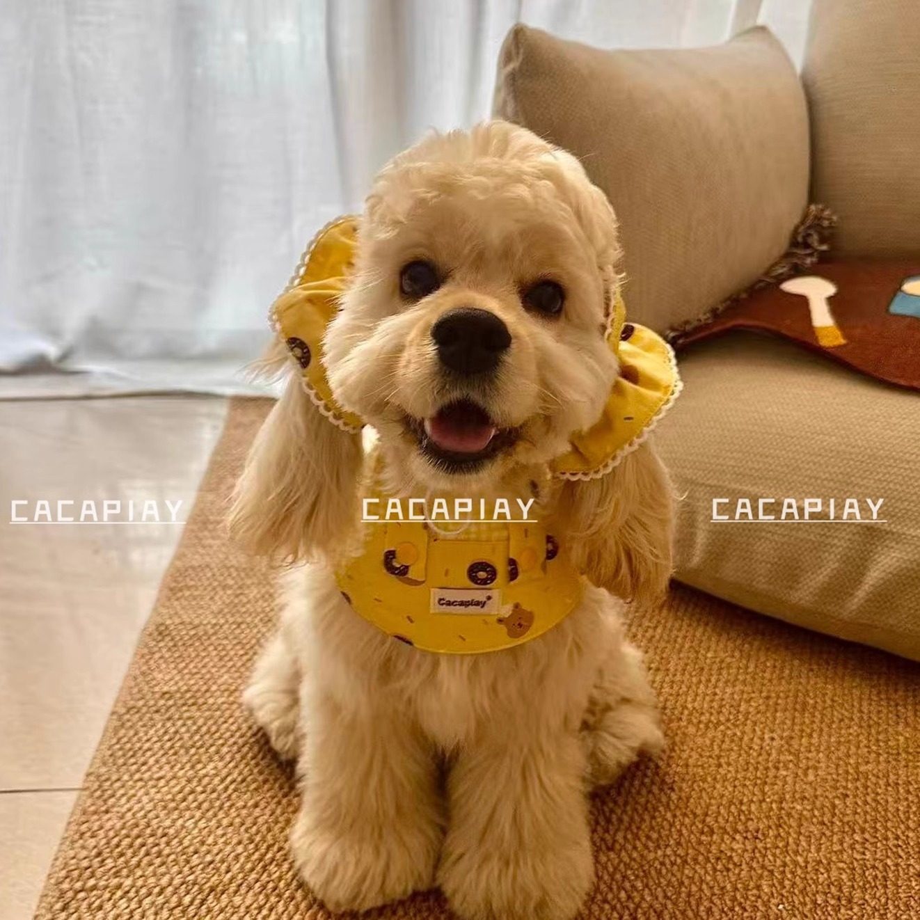 新品【甜甜圈小熊】美卡狗狗耳花防脏耳套口水巾可卡可卡布查理王,淘宝优惠券,粉丝福利购,淘宝优惠卷