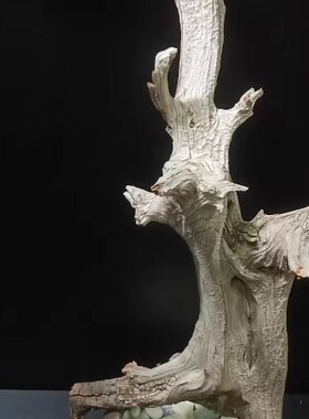 太行崖柏沉化精品意境毛料小摆件