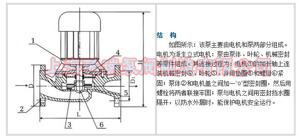 SG系列管道离心泵 立式铸铁管道泵 40SG18-40 管道增压泵 - 图1