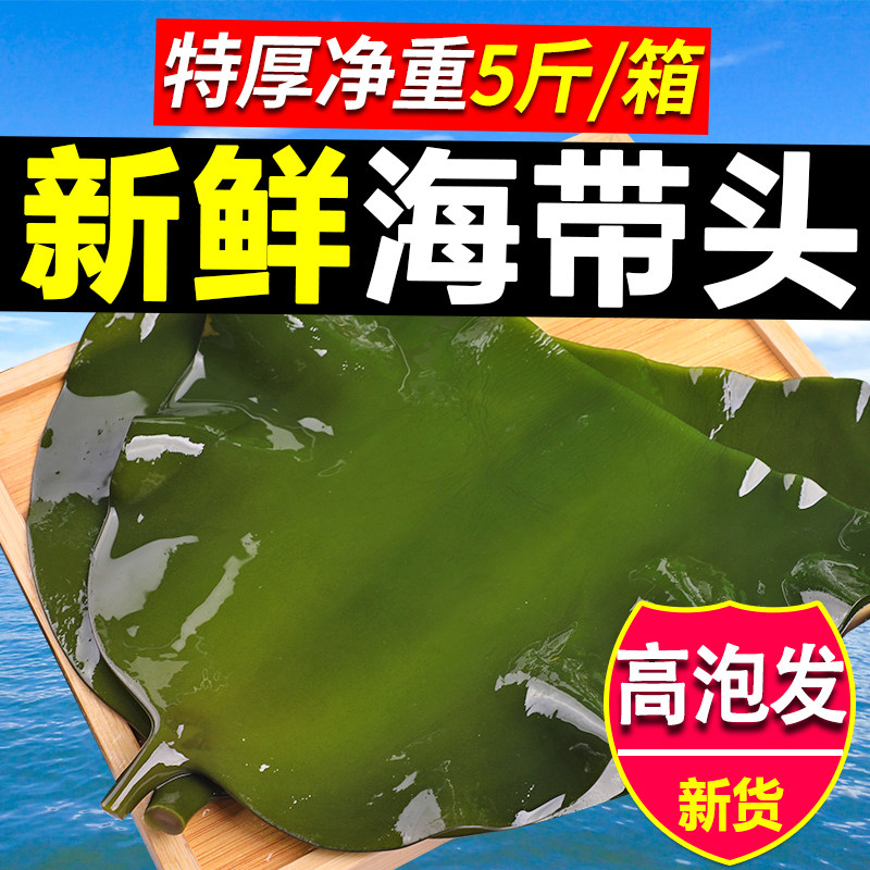 新鲜海带头特级特厚半干货5斤嫩盐渍海带根头昆布片结丝荣成特产_虎窝淘