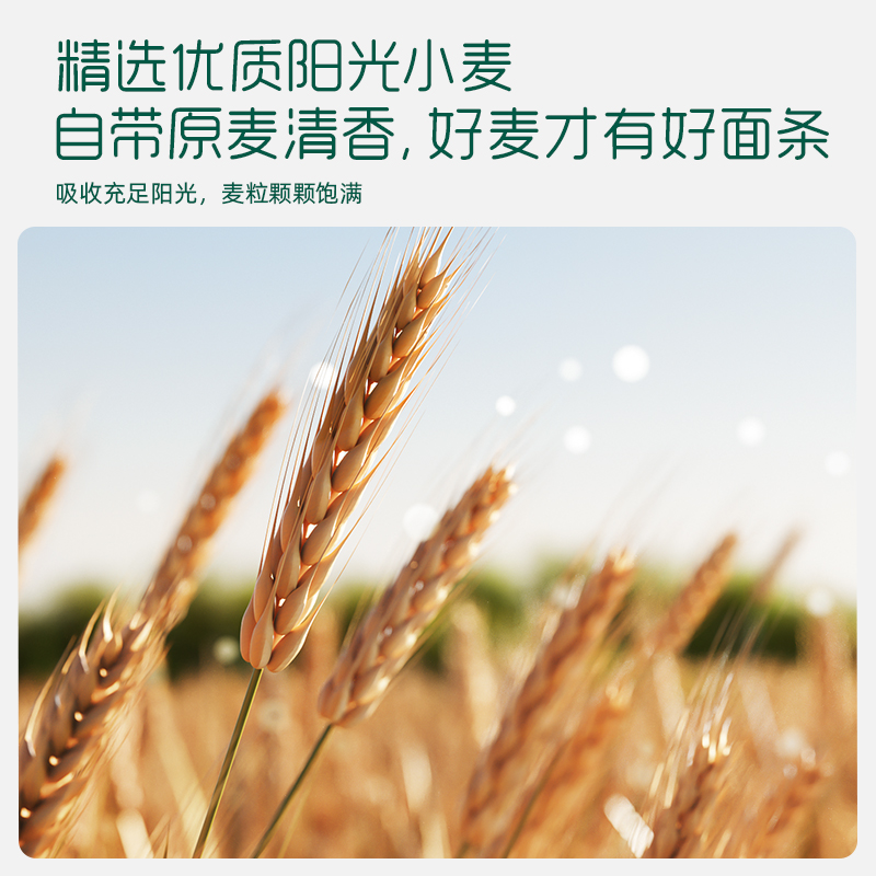 英氏婴儿面条宝宝辅食面4盒