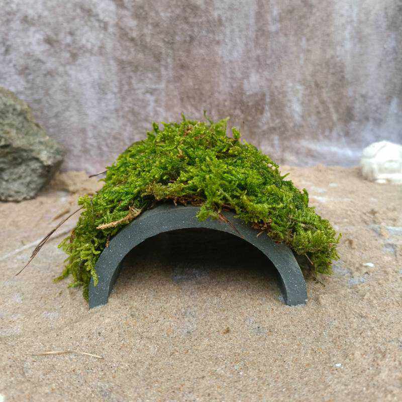 螃蟹躲避洞寄居蟹乌龟躲避爬宠陶土黄缘用品造景晒台洞穴苔藓瓦片,淘宝优惠券,粉丝福利购,淘宝优惠卷