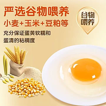 壹号食品无抗无菌大码蛋1.8kg30枚[47元优惠券]-寻折猪