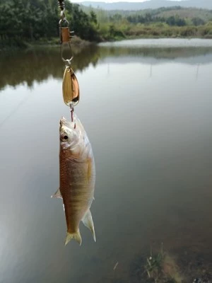 椹  芥潯 缁 戝 ソ涓 嶄 激绾胯 矾浜 氶 サ 鐡滃 瓙浜 墖椋 炶 潎閽 ╁ 瑁呭 姪 曞 櫒婧  祦鍗曢挬 鍋囬 サ