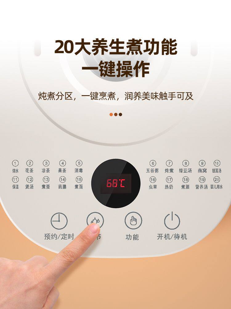 长虹多功能家用保温小型小养生壶 长虹新概念养生壶/煎药壶