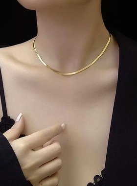 钛钢项链男士潮轻奢小众ins冷淡风情侣蛇骨链设计感高级女锁骨链