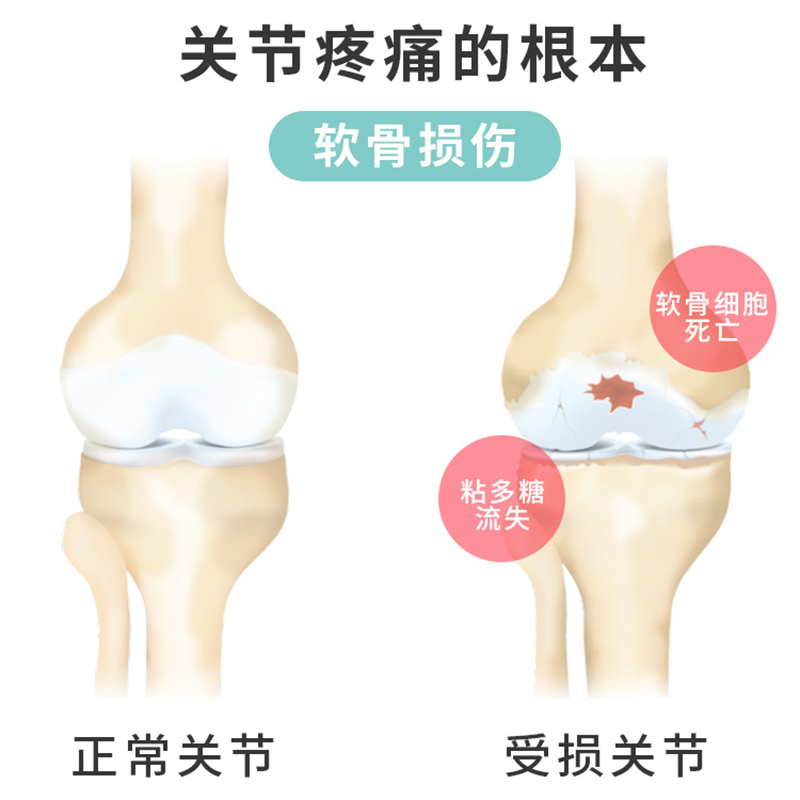 澳洲Sashas鲨鱼软骨素狗速赛Sashas4C萨沙犬猫关节强保护骨骼补钙-图0