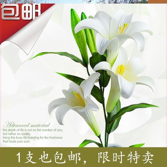 百合花一支 新人首单立减十元 22年5月 淘宝海外