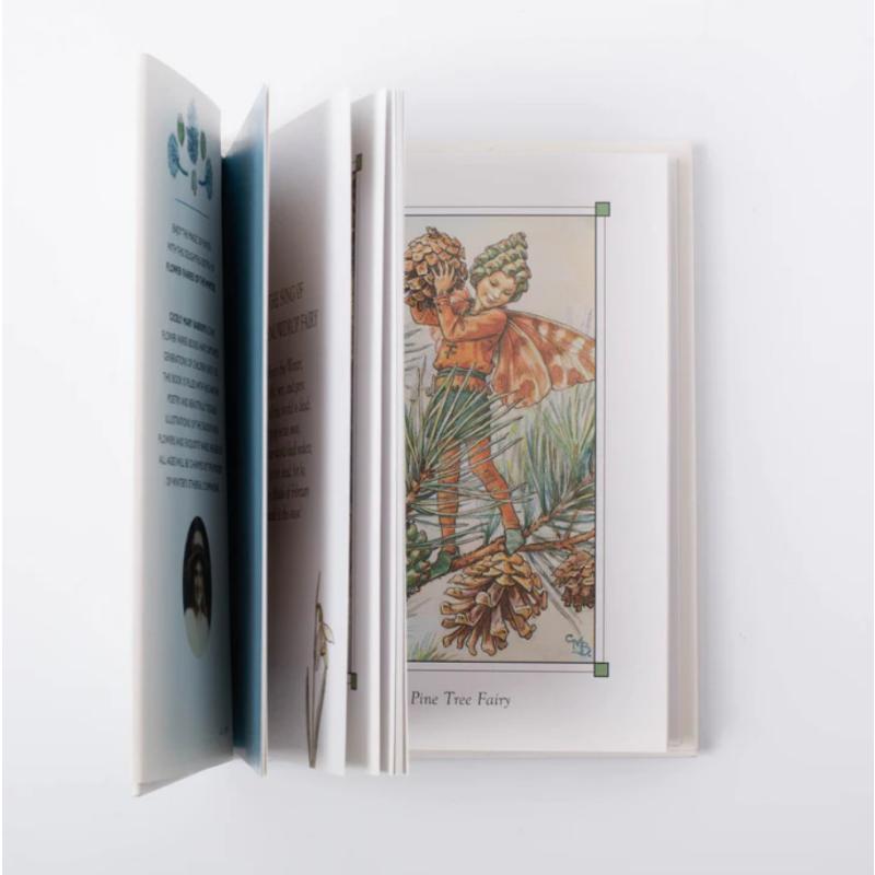 Cicely Mary Barker 花仙子合集 Flower Fairies 春夏秋冬之仙子4册套装 四季仙女绘本 植物花卉精美插画英文原版 大音