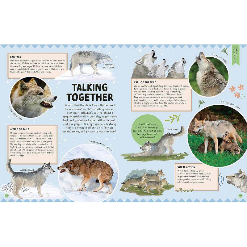 DK动物说 Animal Talk 英文原版 儿童科普绘本 动物知识百科图画书 7岁以上 进口自然科学读本 精装 动物对话交流 大音