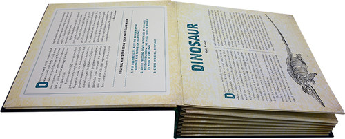 光与影视觉书系列 恐龙 英文原版 会动的3D图片立体绘本 Dinosaur A Photicular Book Dan Kainen 纽约时报畅销书 - 图1