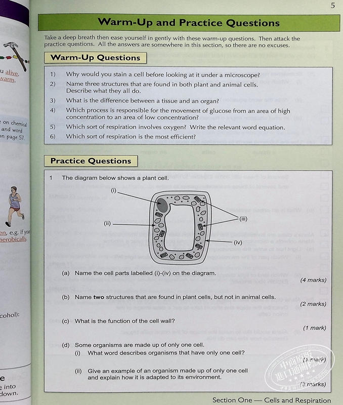 预售 CGP KS3 Complete Revision & Practice Higher KS3中学高级课程练习2册 科学+数学 11-13岁 - 图2