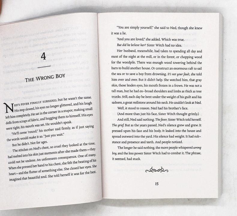 英文原版小说 The Witchs Boy 巫师男孩 青少年课外读物 进口书平装 workman - 图2