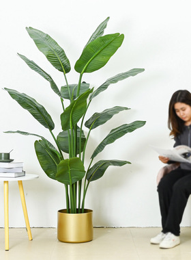 喜莱卡大型落地仿真树客厅摆件