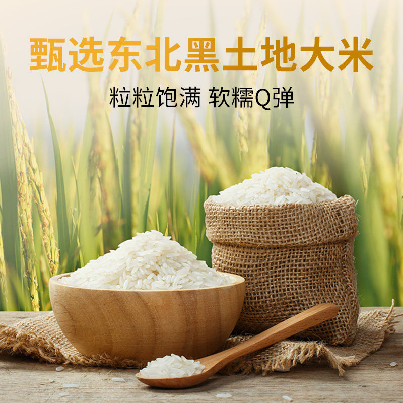 乐肴居梅菜烧肉饭团早餐半成品手握三角饭团学生早餐加热即食速食,淘宝优惠券,粉丝福利购,淘宝优惠卷