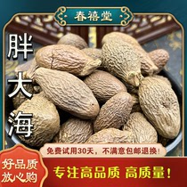 Fat sea Chinese herbal medicine Fat sea fruit soak up the sea Guangxi is moisturizing the product and drinking tea for new goods