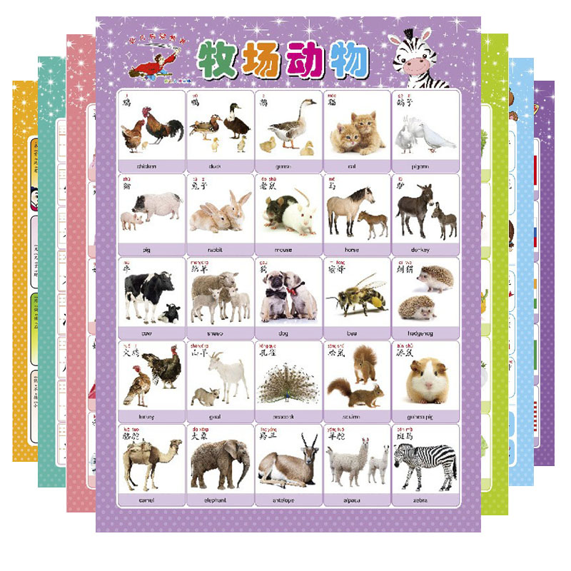 宝宝挂图幼儿童0-3岁早教拼音挂图无声认知启蒙识字挂图无声卡片 - 图1