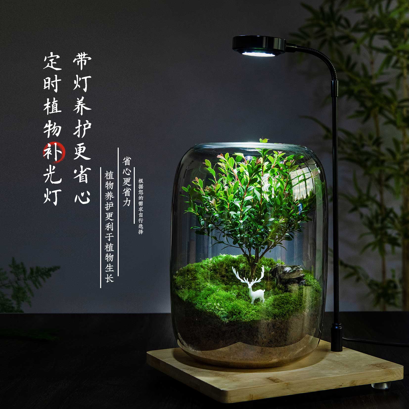 生命之树生态瓶苔藓创意微景观桌面盆栽青苔造景缸植物办公室绿植 - 图3