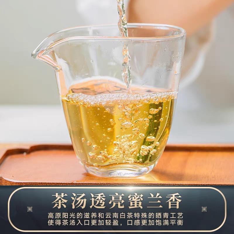 云南月光白沱茶普洱茶生茶月光美人景谷大白茶龙珠小沱茶散装500g