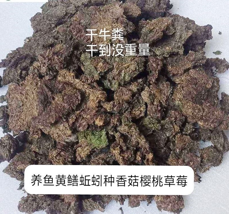 纯干牛粪块天然发酵农家有机肥种花种菜家庭园艺肥牛屎牛粪饼底肥-图2