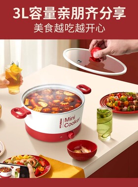 电煮锅双耳多功能电火锅3L