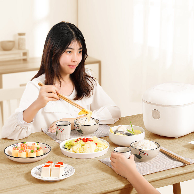长虹ih家用2l迷你小容量触屏电饭锅 长虹多快好省电饭煲