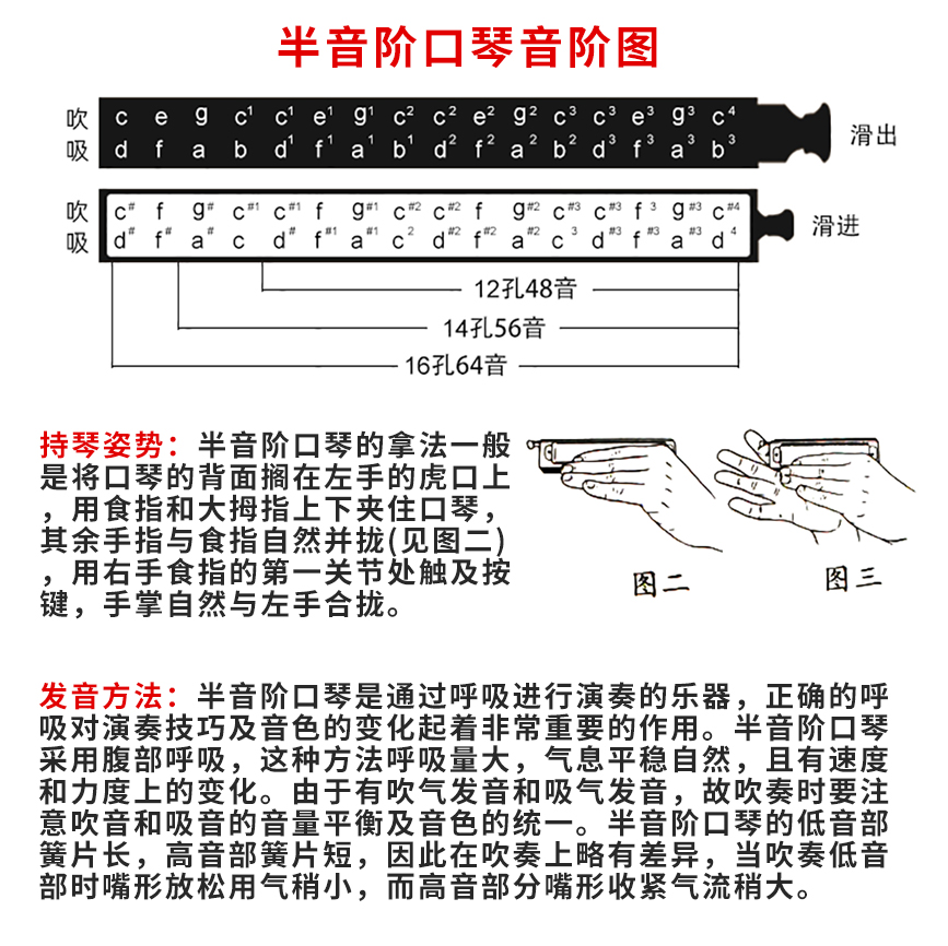 进口音簧国光国之梦12孔48音半音阶圆吹口琴16孔64音专业演奏级琴-图0