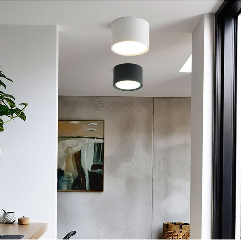 回龙明装筒灯圆形家用led天花灯射灯客厅走廊过道免开孔吸顶筒灯 - 图2