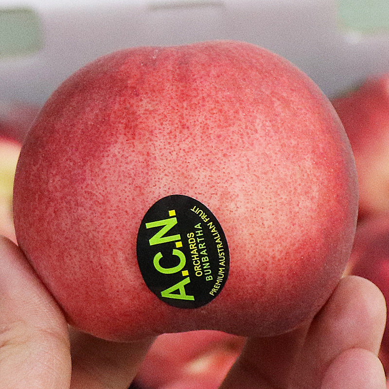 澳洲进口空运水蜜桃毛桃新鲜水果桃子公主桃时令新鲜水果顺丰,淘宝优惠券,粉丝福利购,淘宝优惠卷