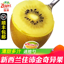 New Zealand Jiapi Exotic Fruits Golden Fruits Fresh Pregnant Women Fruits Zespri Imported Yellow Heart Kiwifruit Whole Boxes