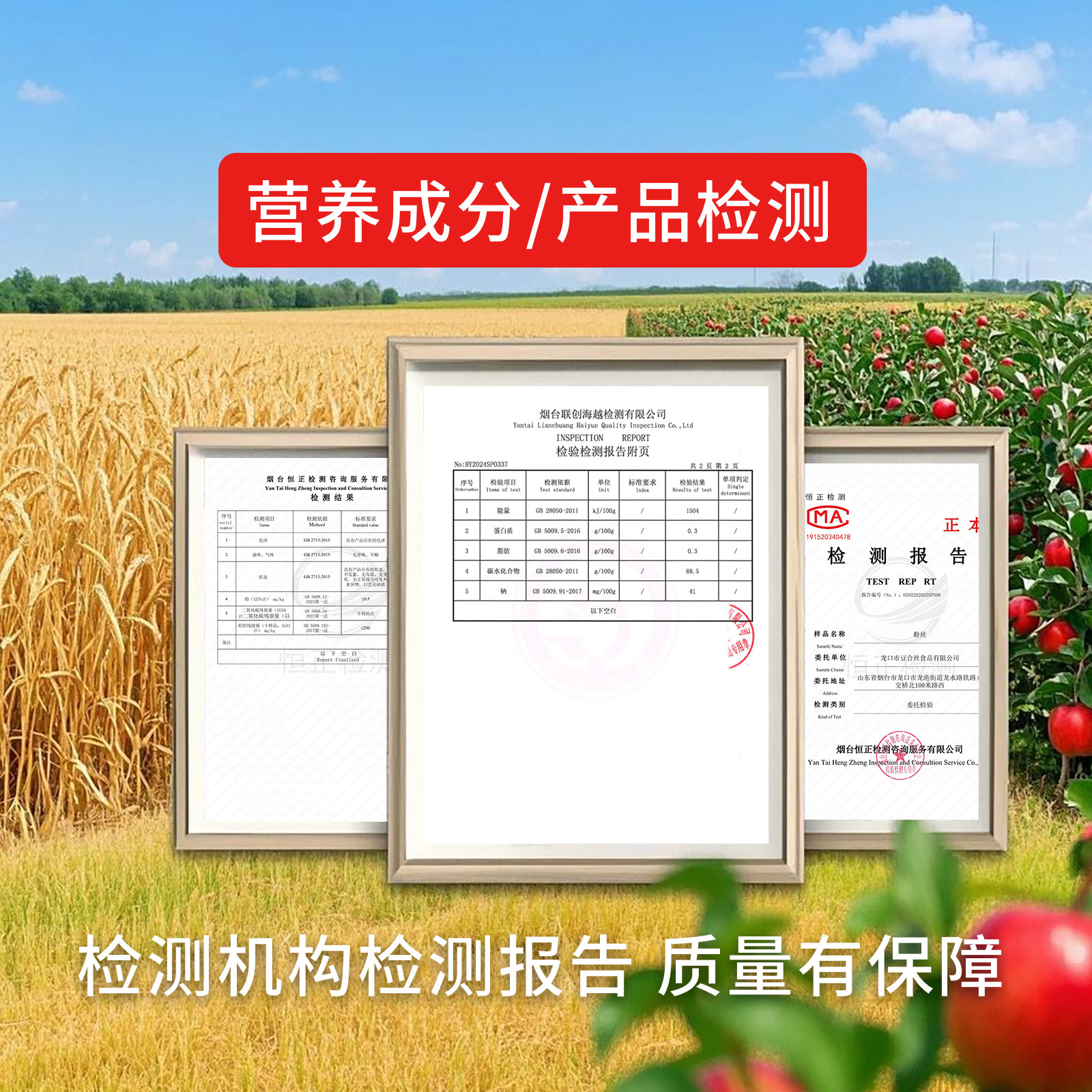 豆合丝粉丝捆5斤 麻辣烫蒸菜凉拌烤生蚝扇贝牛羊肉汤商用约50捆,淘宝优惠券,粉丝福利购,淘宝优惠卷