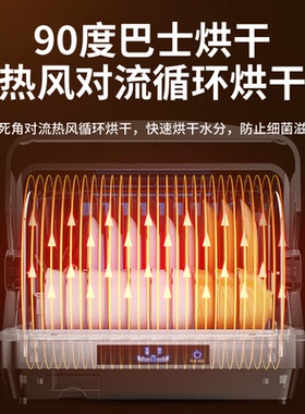 家家思（JIAJIASI）消毒柜家用小型紫外线台式桌面厨房餐具免沥水
