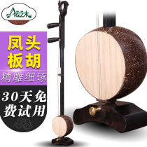 Black Sandalwood Pinewood Cockatoo Professional Playing Troupe Accompaniment of Coconut Huhu High School Bass Suzhou Board Hut Musical Instrument Accessories