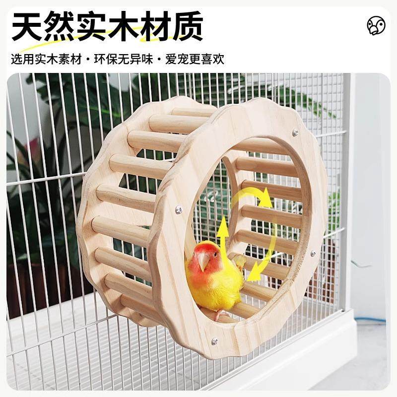 8玖-鹦鹉跑轮玩具自嗨解闷益智转轮玄凤牡丹虎皮宠物用品玩具造景,淘宝优惠券,粉丝福利购,淘宝优惠卷