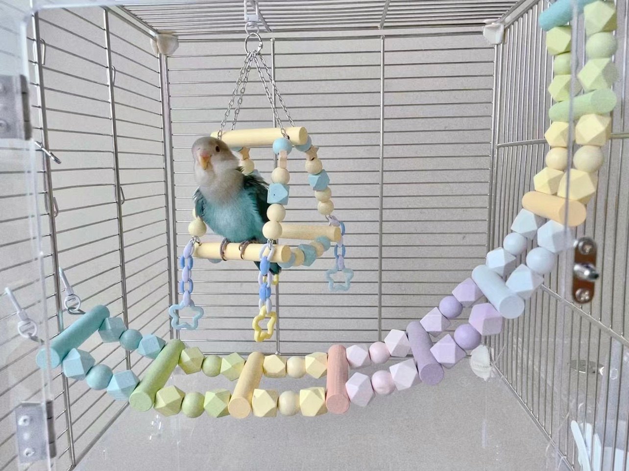 8玖-鹦鹉爬梯秋千手工站杆马卡龙彩虹攀爬云梯宠物鸟玩具牡丹虎皮,淘宝优惠券,粉丝福利购,淘宝优惠卷