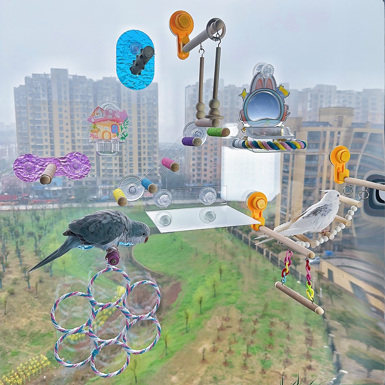 8玖-亚克力鹦鹉空中站架玻璃瓷砖吸盘站杆牡丹玄凤鸟架外出便携 - 图0