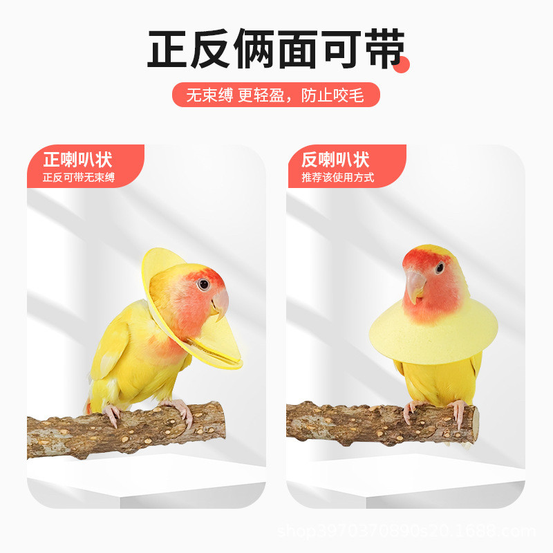 8玖-鹦鹉伊丽莎白圈防啄毛防咬受伤保护项圈鸟用具用品专用玩具,淘宝优惠券,粉丝福利购,淘宝优惠卷