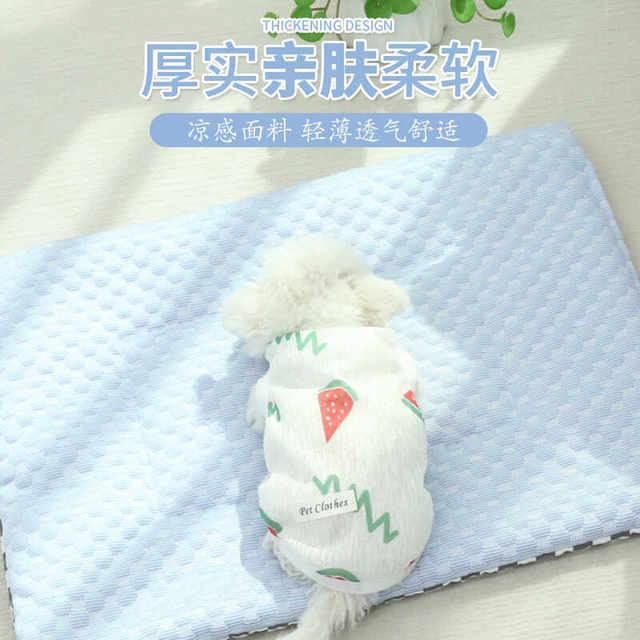 Bingdoudou cat sofa cushions and others